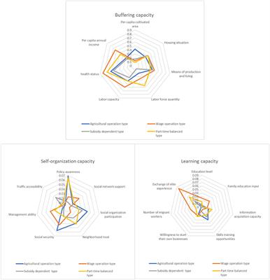 Livelihood resilience and livelihood construction path of China's rural reservoir resettled households in the energy transition